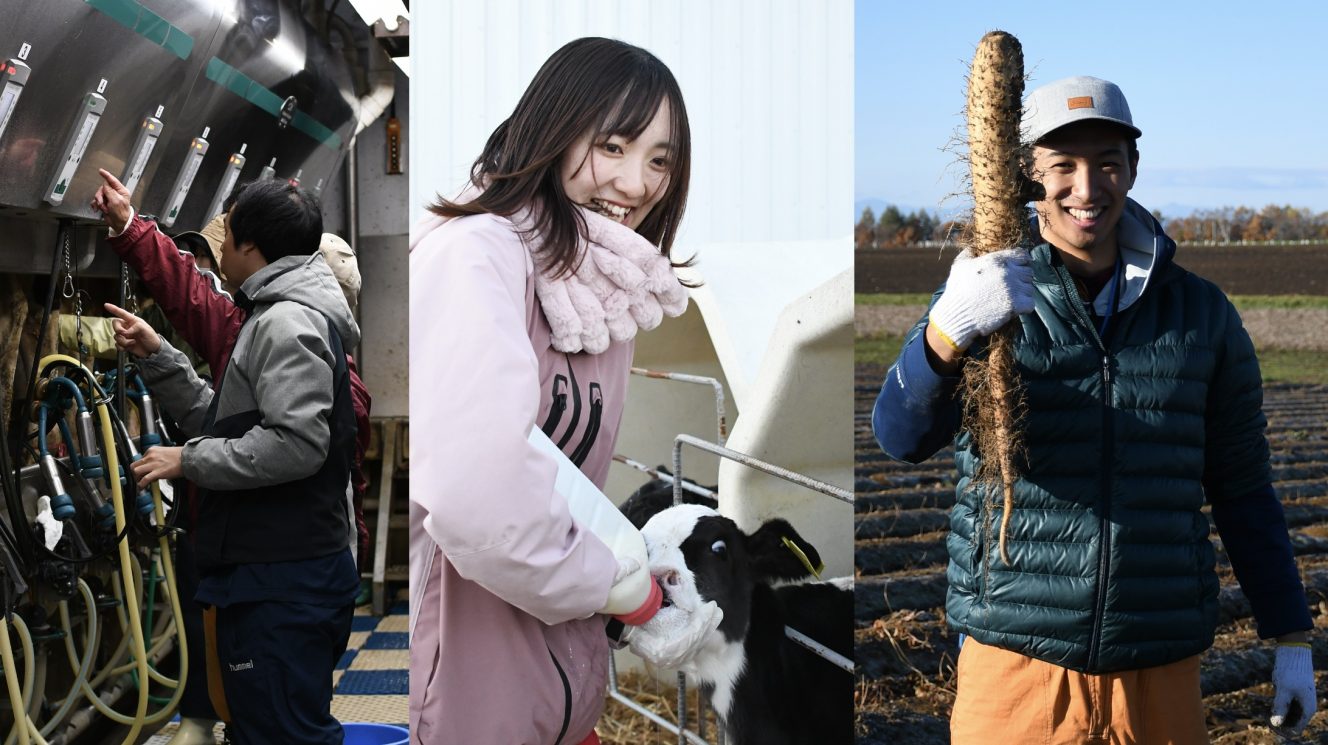 5c57031c4b854e1961982b9e95405e